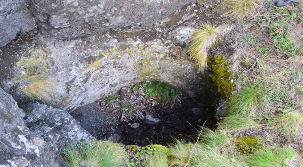 CİNALİ / ჯინალი!