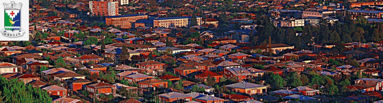 Senaki / სენაკი