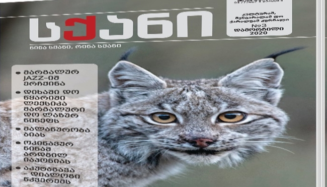 ‘სქანი’/ ‘Skani’