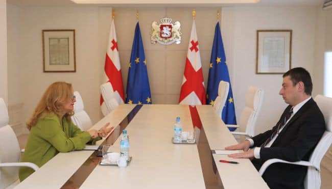 Türkiye'nin Tiflis Büyükelçisi Fatma Ceren Yazgan ile Gürcistan Başbakanı  Giorgi Gakharia
