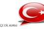 Belçika uyuşturucu ile mücadele için bal arılarını kullanacak