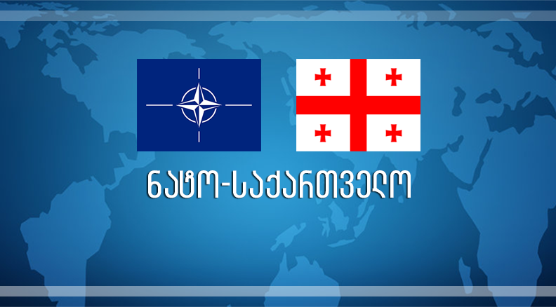 Nato Gemileri Batumi Limanı'nda