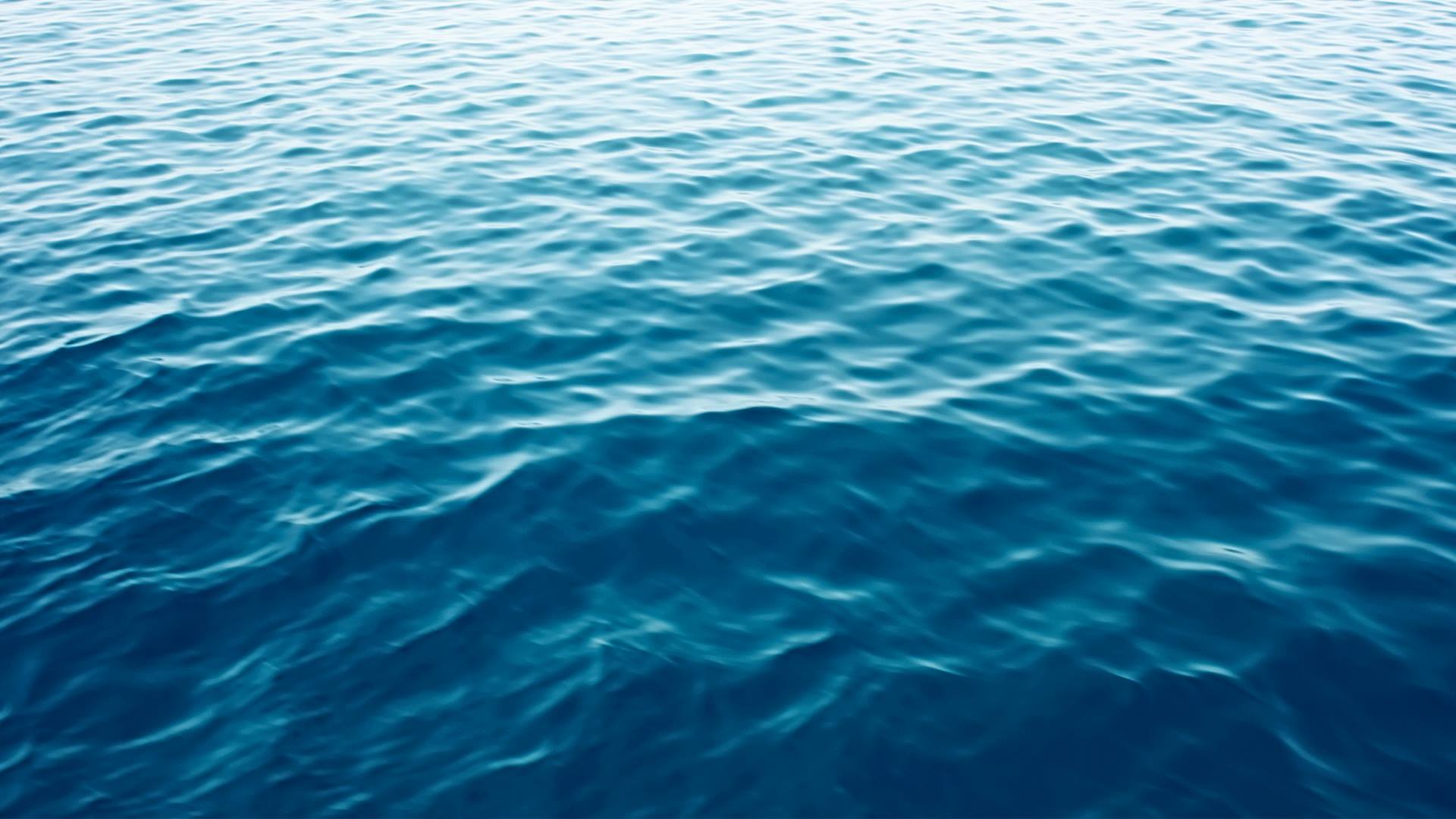 გილოცავთ ახალ წელს - კალანდობას!