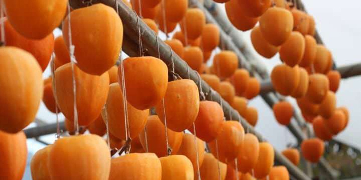 Komün Oluşturma Suçu