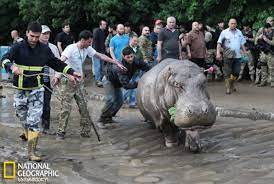 Tiflis Felaketi Üzerinden 7 Yıl Geçti