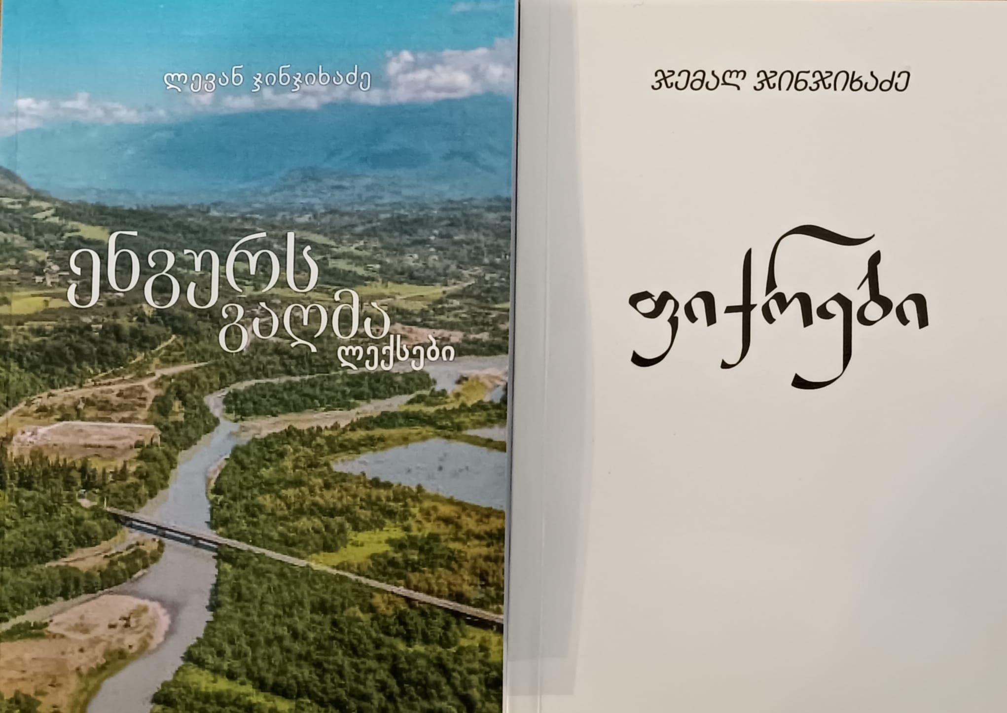 Kakha Kvashilava: ეს შესანიშნავი წიგნები მივიღე საჩუქრად ბრწყინვალე სოხუმელებისაგან