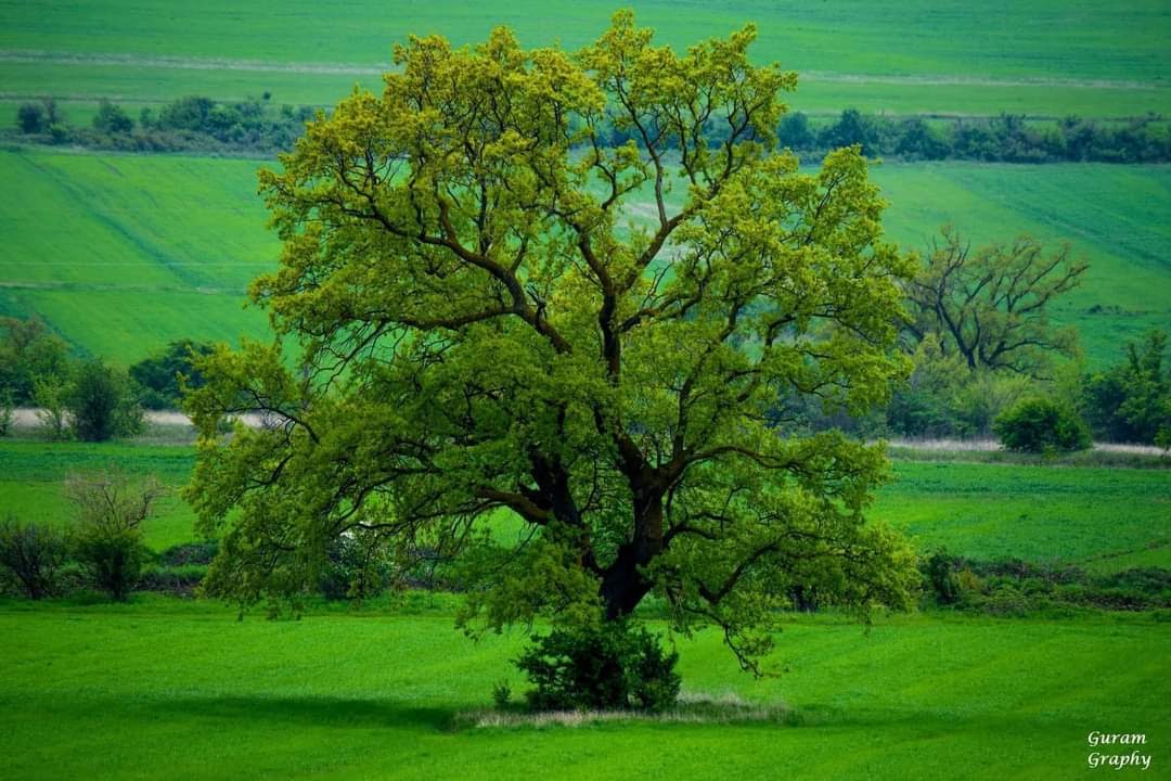 Veysel Çolak: Bir insanı sevme nedenleriniz kalıcı olsun