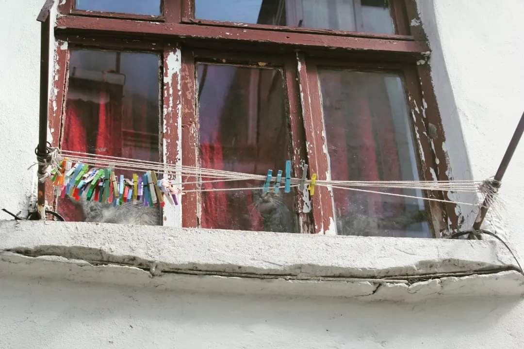 Hikmet Kavasoğlu: Ne yapacaksın dedi mandalları?