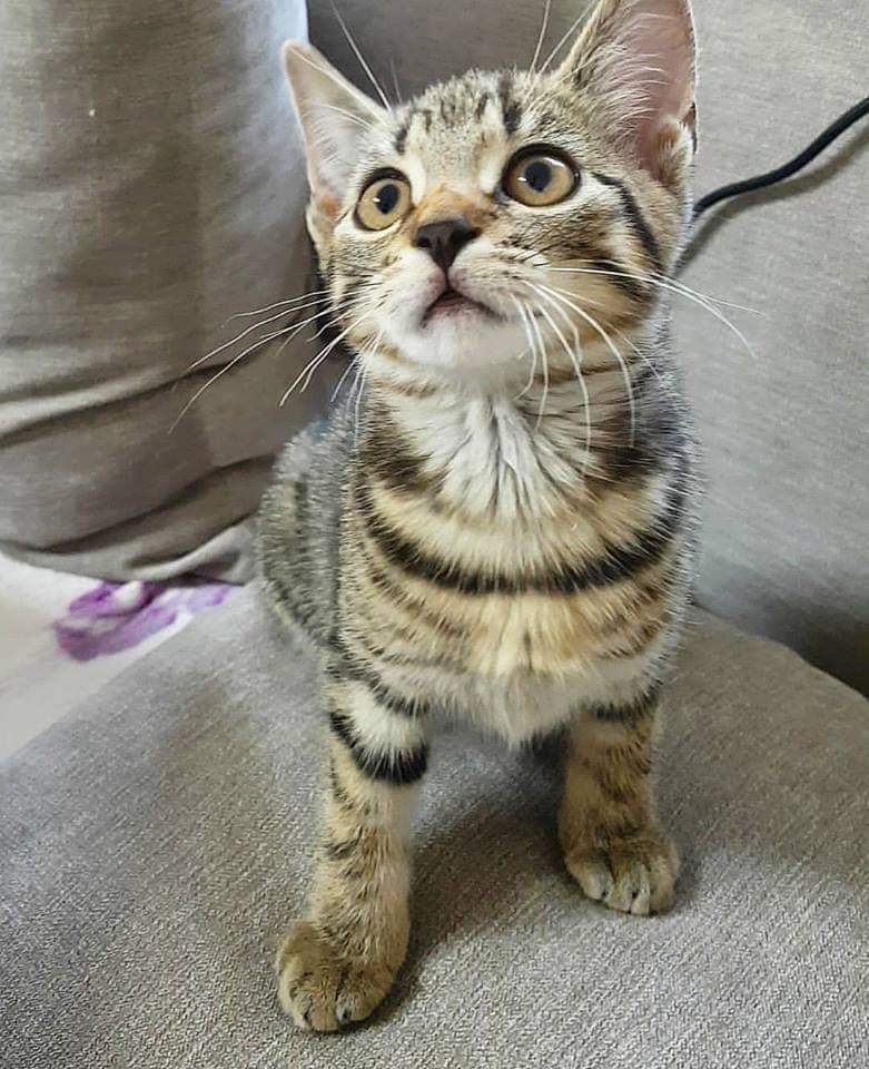 Veysel Çolak: Yıkıcı soruları olmalı insanın