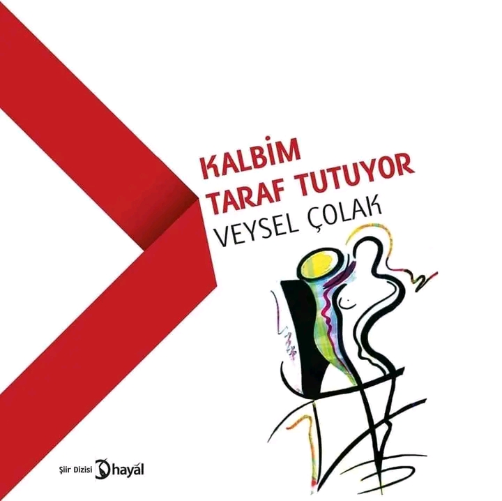 VEYSEL ÇOLAK:  SEN KUŞ SESLERİ BİRİKTİR