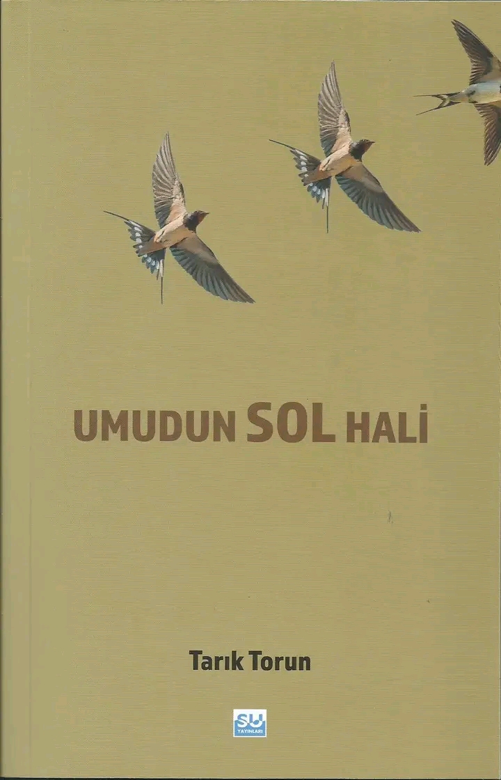 Şenol Taban: “SOL” halimiz-ahvalimiz…