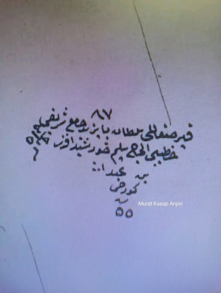 Murat Kasap: Nereli olduğu kısımda ise sadece Gürcü olarak yazılmış….