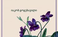 Fehmi Uzal Ustiaşvili: Gürcüce İçin Türkiye'de Yeni Bir Devir Başlıyor: Beyoğlu’nda Tarihi Buluşma