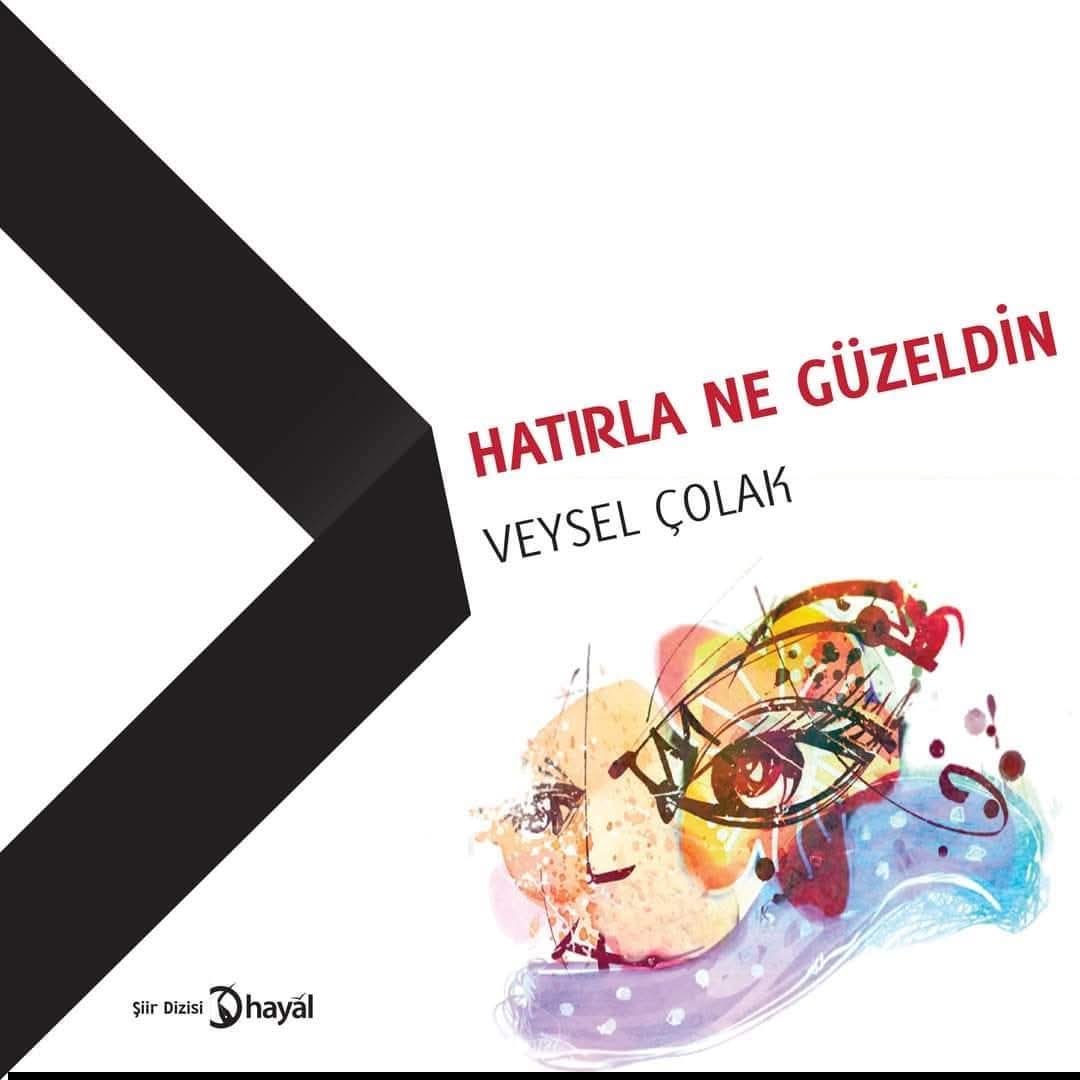 Veysel Çolak: AŞK POLİTİKTİR*