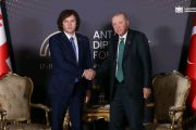 უკანასკნელ პერიოდში, თურქეთის აფხაზური დიასპორის და მისი მხარდამჭერი
