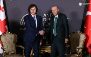 უკანასკნელ პერიოდში, თურქეთის აფხაზური დიასპორის და მისი მხარდამჭერი