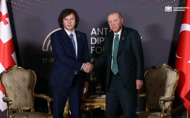 უკანასკნელ პერიოდში, თურქეთის აფხაზური დიასპორის და მისი მხარდამჭერი
