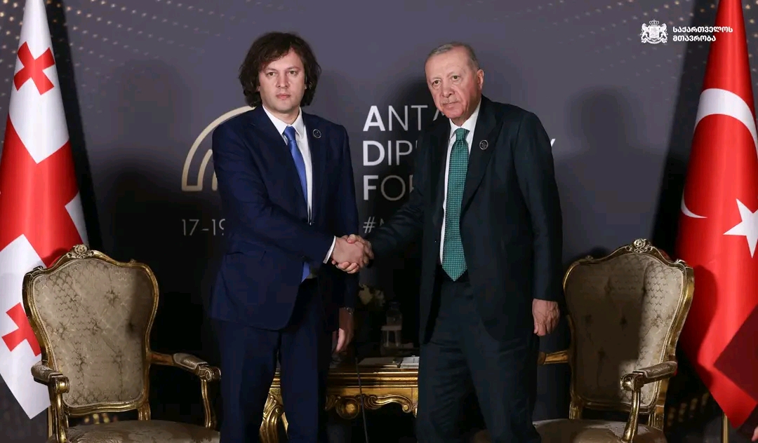 უკანასკნელ პერიოდში, თურქეთის აფხაზური დიასპორის და მისი მხარდამჭერი