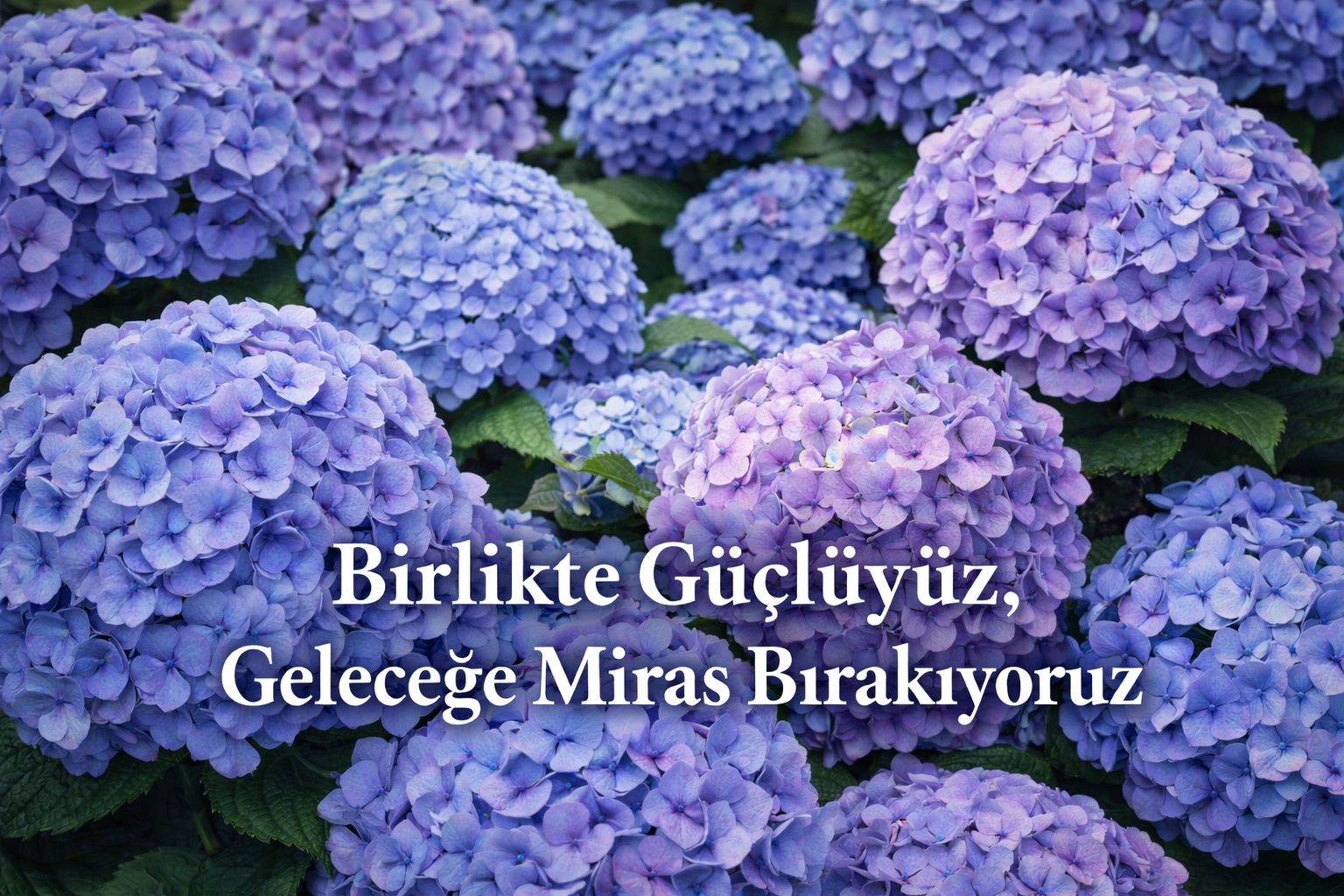 Esra Olgun: Birlikte Güçlüyüz, Geleceğe Miras Bırakıyoruz