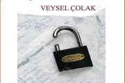 Veysel Çolak: BİR ŞİİRİN KAPILARI  BİR ŞİİRE NEREDEN GİRİLİR?