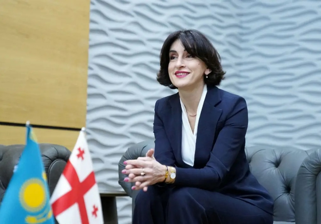 Gürcistan Dışişleri Bakanı Bochorishvili’den Diasporaya Stratejik Mesaj