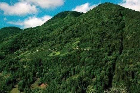 Maçahel'in Geleceği İçin Hukuki Mücadele Sürüyor