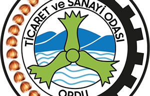 Kafkas Gürcü Kültür Derneği O.T.S.O seçimi kutlaması